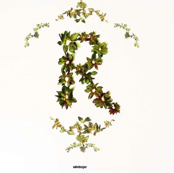 Proyect for "36 Days of Type"